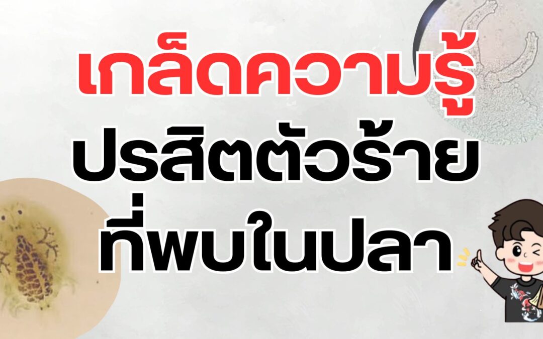 ปรสิตตัวร้ายที่พบในปลา