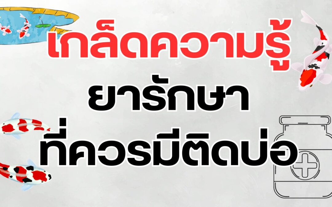 ยารักษาที่ควรมีติดบ่อ