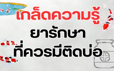 ยารักษาที่ควรมีติดบ่อ